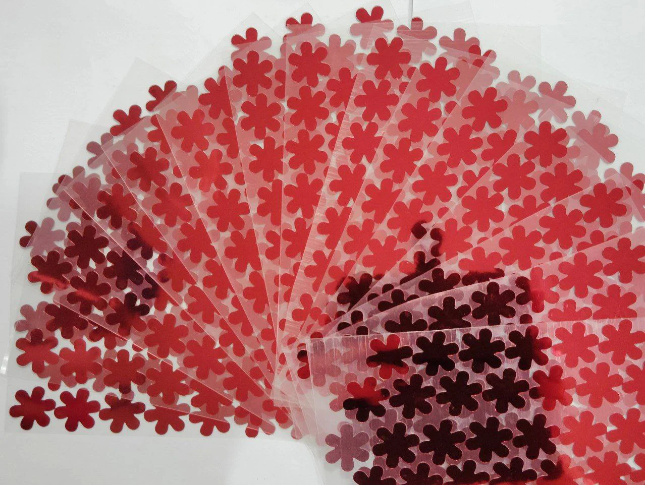 Thumbnail 12